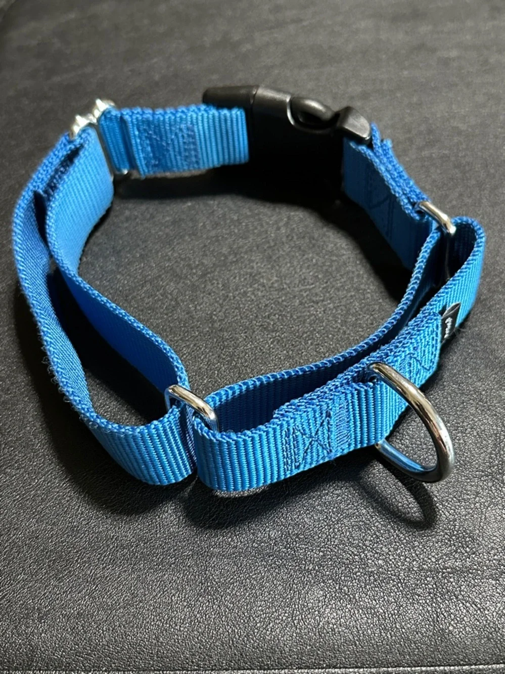 Petsafe Large Blue Nylon New Dog Collar